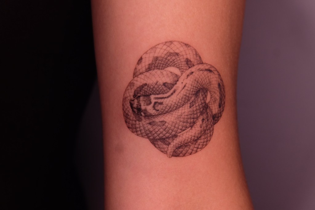 下一個龍年要12年後了